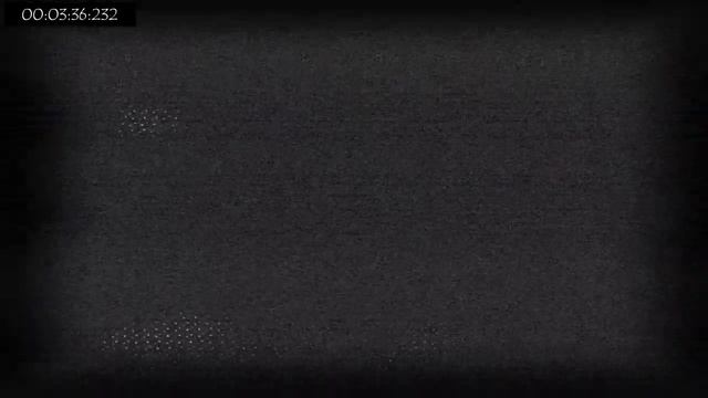 VHS BUNNY (Remaster)