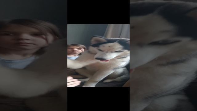 1000016760.mp4
