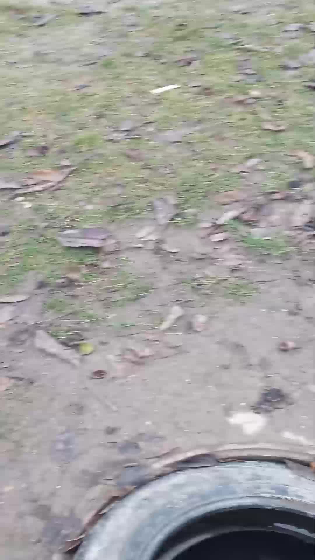 с другом