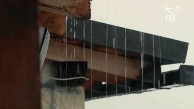 Хранилище православных сборников,серий,циклов - ДФ «СВЕТЛЫЙ СТАРЕЦ СПИРИДОН. ЖИЗНЬ КАК ЧУДО»