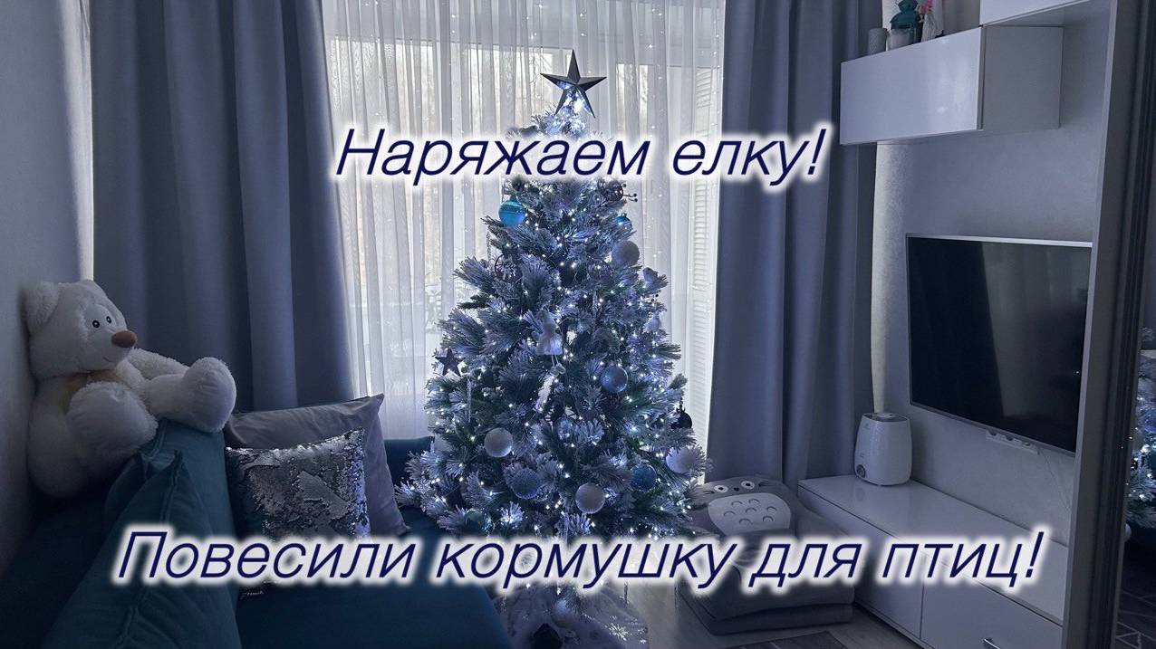 Мини влог! Повесили кормушку для птиц, нарядили елку.