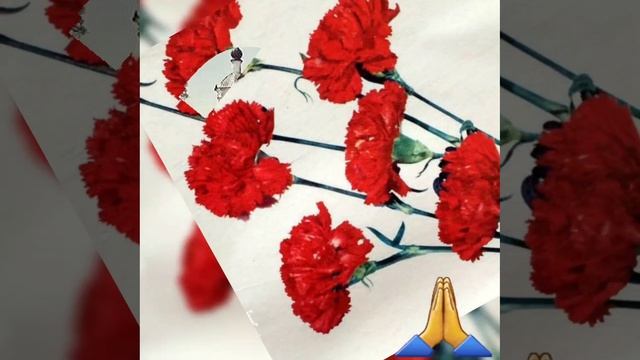 На погосте женщина в слезах
Стихи: Владимир Курочкин
Музыка: Евгений Сибирцев
Исп: Владимир Журавель