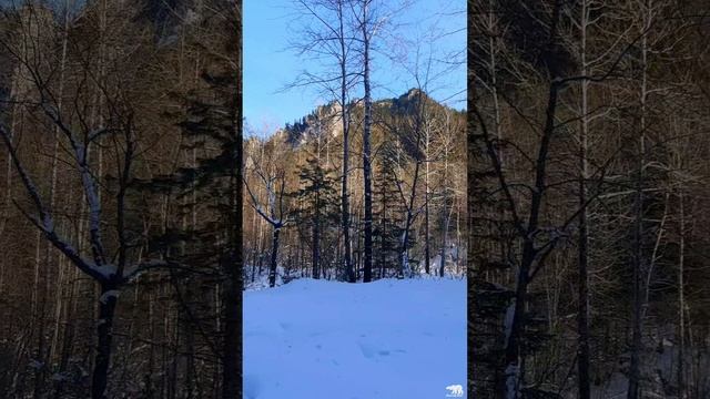 Новый год встречали...