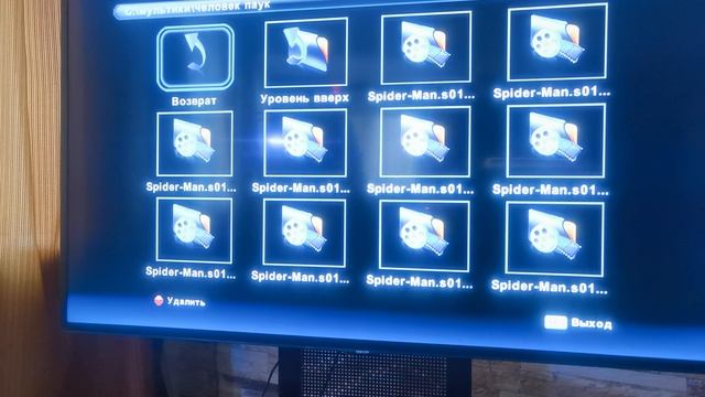 VID_20241228_130047.mp4