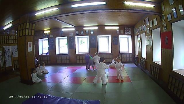 Дзюдо, одновременная борьба, дети 4-6 лет.