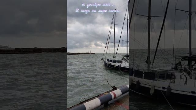 15 декабря 2024 г. А когда на море качка... #ялта2024 #ялта #море