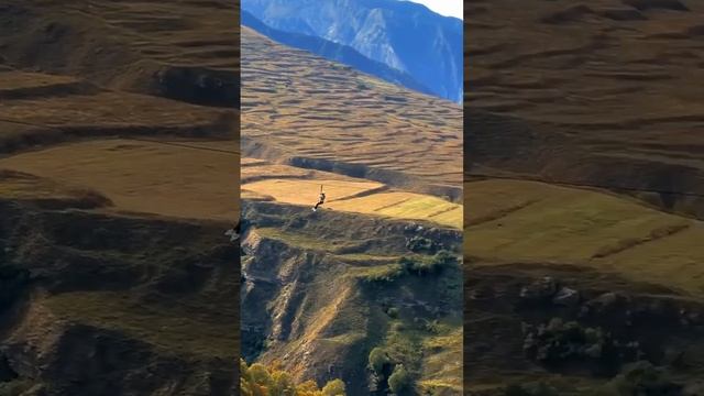 Зиплайн, Дагестан
