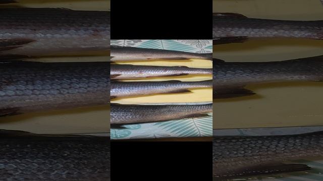 Интинский хариус. Когда сам на севере. И не ждёшь брата...