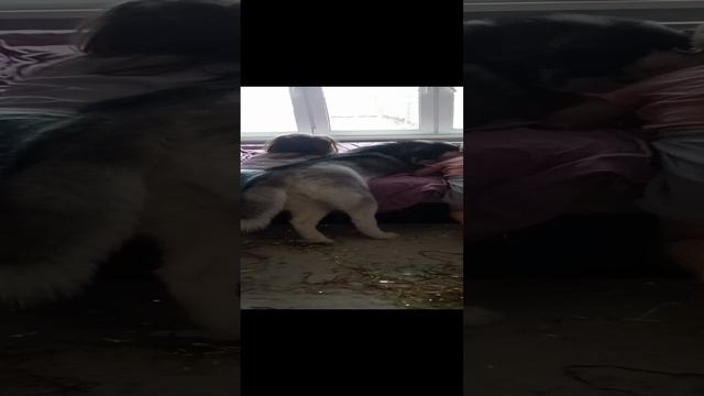 1000019797.mp4