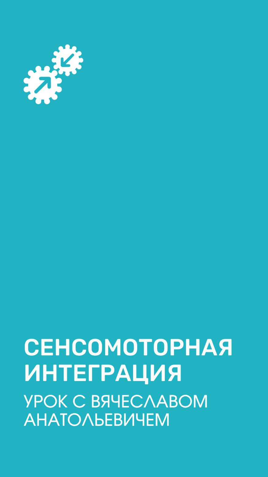 Сенсомоторная интеграция. Урок с Вячеславом Анатольевичем