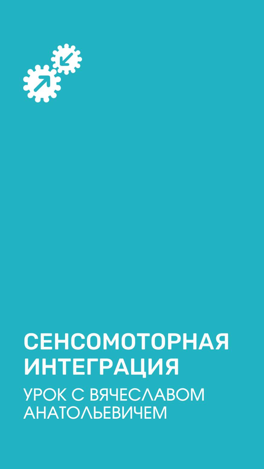 Сенсомоторная интеграция. Урок с Вячеславом Анатольевичем