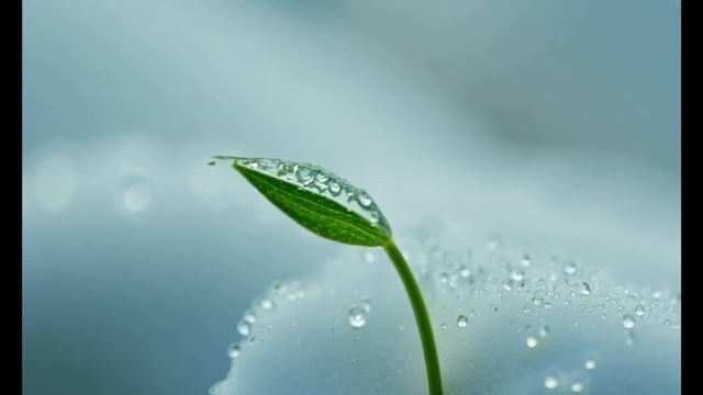 Женщина Осень