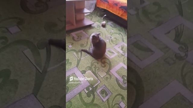 Как то так 😁