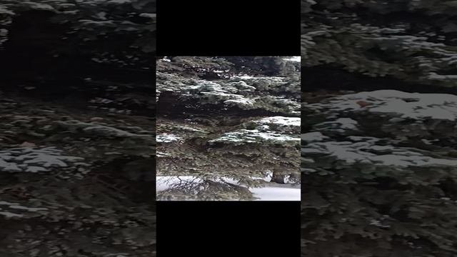 УДАЧНОГО ДНЯ И ХОРОШЕГО НАСТРОЕНИЯ 🌹