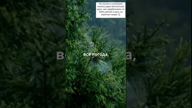 Не оправдывайся!
