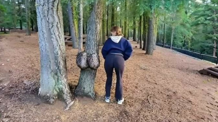 Приколы в слайдах🤣 #юмор #shorts #рекомендации