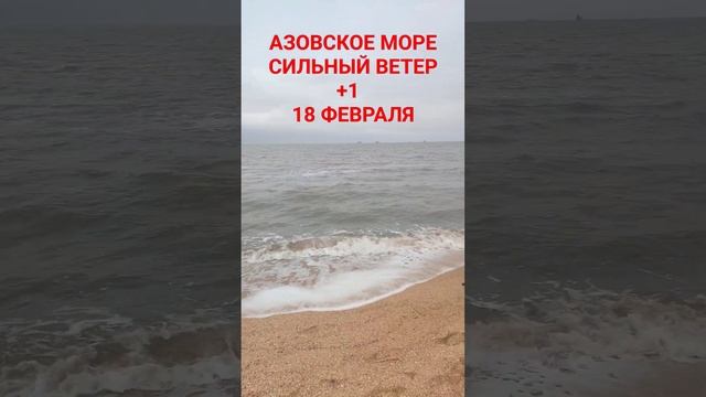 #голубицкая сильный ветер, деревья сносит!!! #анапа #темрюк #азовскоеморе
