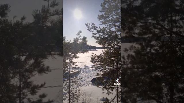 2021-03-21-202118637.mp4
