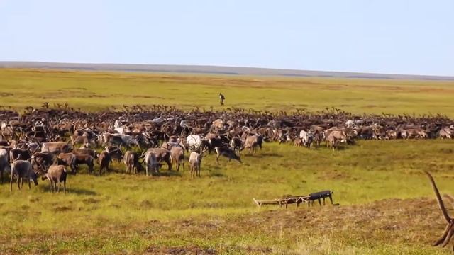 Конкурс  Хранительница очага хозяйка чума