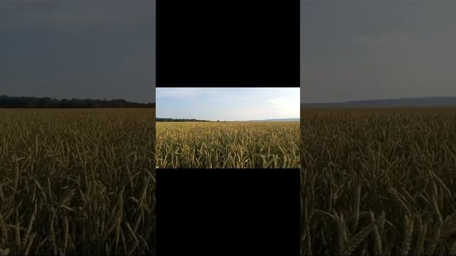 Вечер