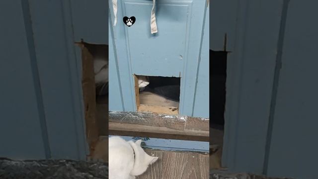 Меня мама ждёт? Иди, иди давай сеструха, получай звездюльков
