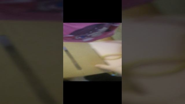 VID_20241228_144721.mp4