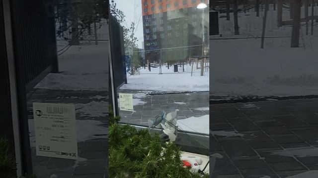 Много вопросов, мало ответов...!?