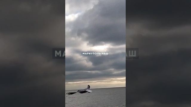 МАРИУПОЛЬ 28.12.2024