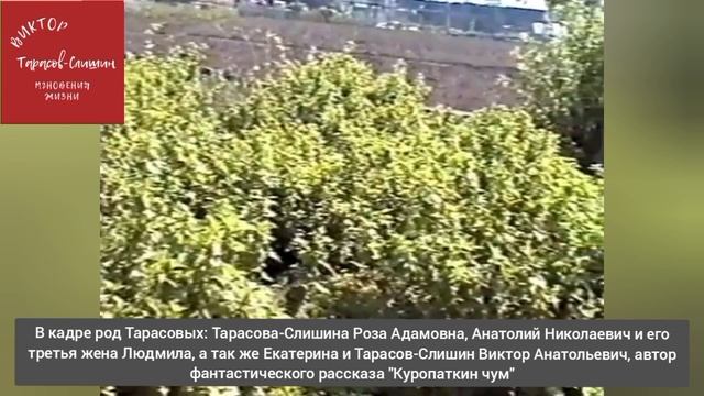 Мгновения жизни. Видео 002