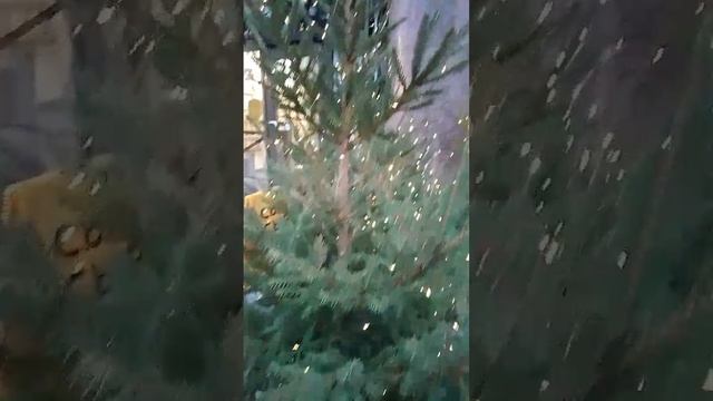 С наступающим Новым годом друзья