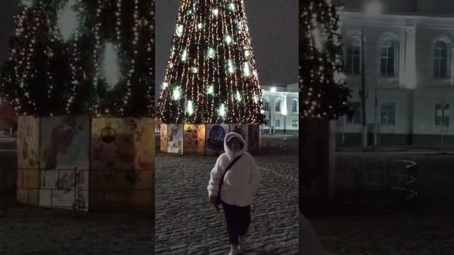 ПРЕДНОВОГОДНИЕ ПРОГУЛКИ ПО НОВОЧЕРКАССКУ