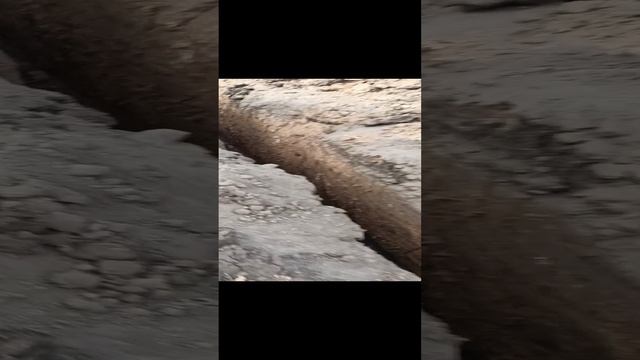 Работа за сегодня