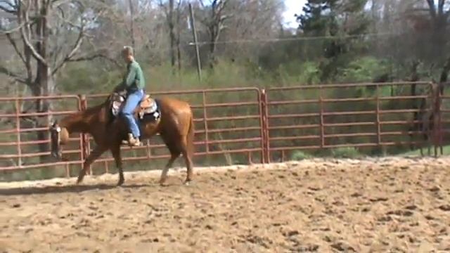 JDG Skip My Impulse 3/26/15