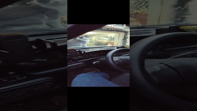 убежит или нет ?😁