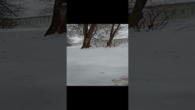 VID_20241220_141646[1]Монастыри Звенигорода