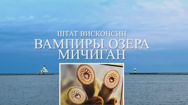 Вампиры озера Мичиган.