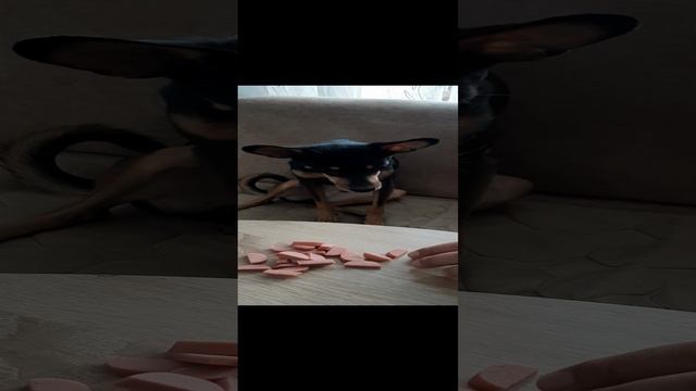 1000000676.mp4
