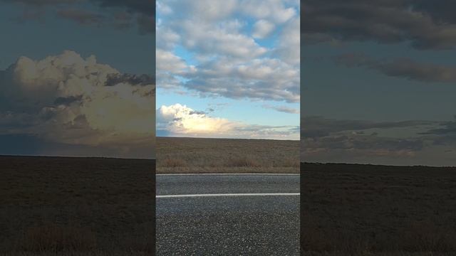 ДИКИЕ ЛОШАДИ НА СТЕПНЫХ ПРОСТОРАХ))!!ПО ДОРОГЕ НА РЫБАЛКУ))!!