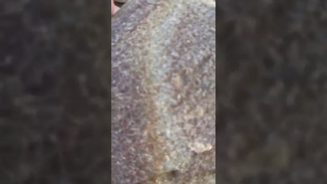 Галтованный златолит жёлтый