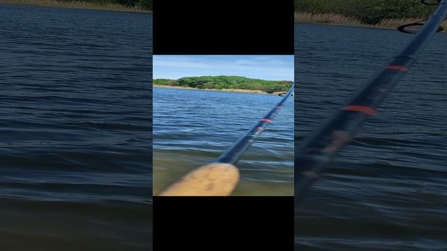 Хороший окунь на отводной поводок...