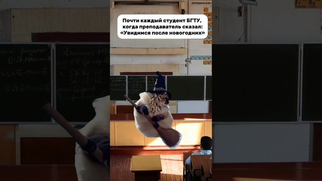 Каждый студент