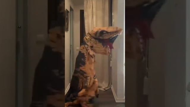 VID-20241128-WA0006.mp4