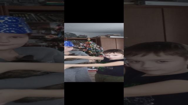 VID_20241228_133410.mp4