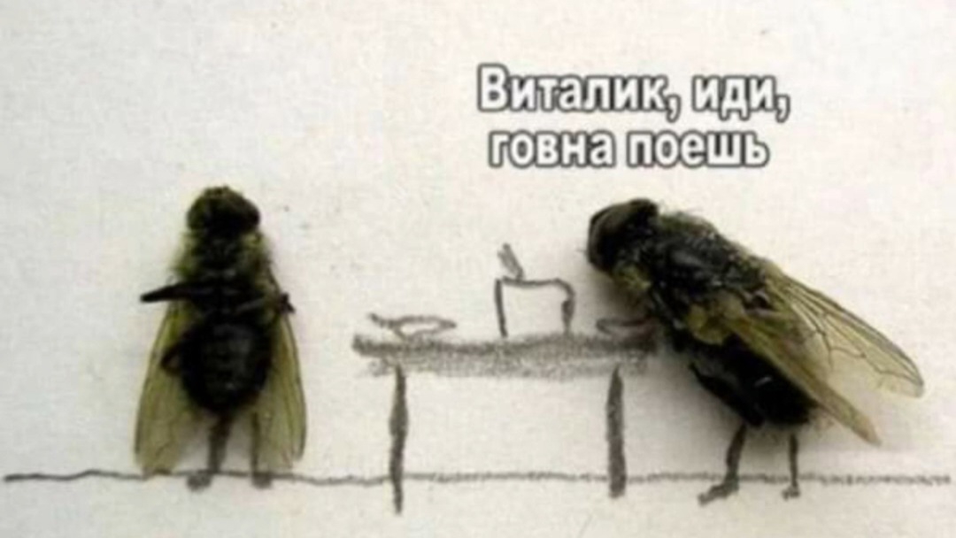 Приколы в слайдах🤣 #юмор #shorts #рекомендации