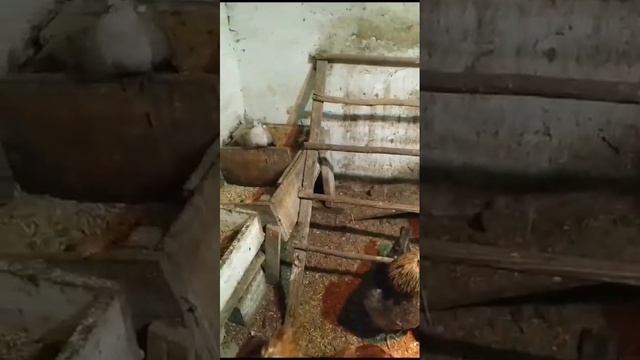 1000000220.mp4