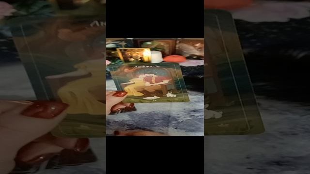 1000661617.mp4