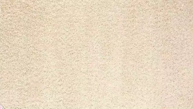 Видео игра для кошек