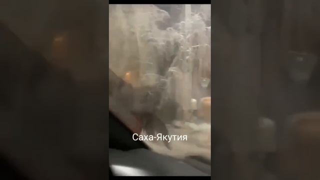 Разборки коней 🤜🤛 Якутия