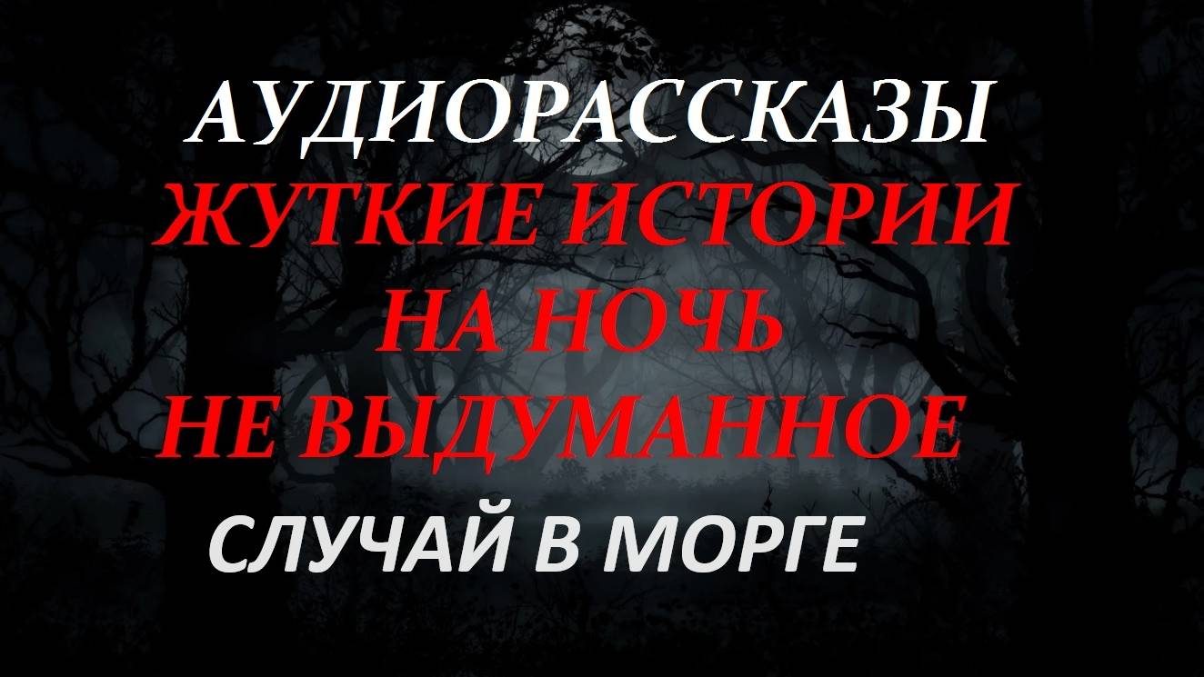 СТРАШНЫЕ РАССКАЗЫ НА НОЧЬ-СЛУЧАЙ В МОРГЕ