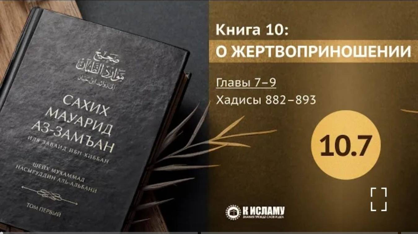 Главы 10.7—10.9. О свадебном угощении и жертвоприношении за новорожденного (акыка). Хадисы 882–893